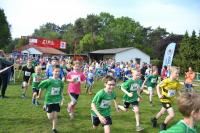 Ummelllauf_2019_DSC_1651