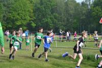 Ummelllauf_2019_DSC_1659